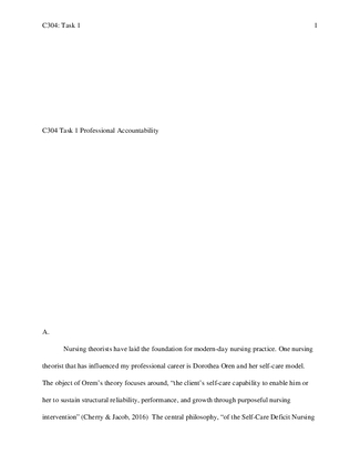 C304 Task 1 Professional Accountability