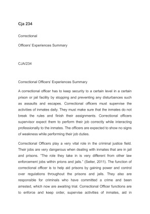 Cja 234 Correctional Officers Experiences Summary