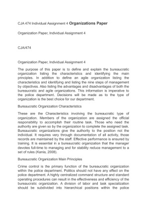 CJA 474 Individual Assignment 4 Organizations Paper