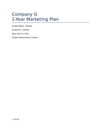 Company G One Year Marketing Plan Melissa 