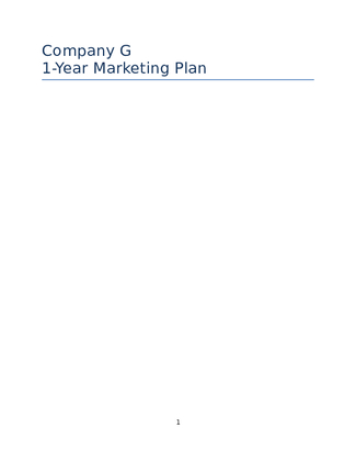Company G One Year Marketing Plan Template .docx