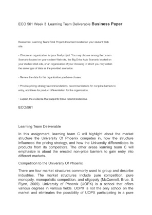 ECO 561 Learning Team Deliverable Business Paper