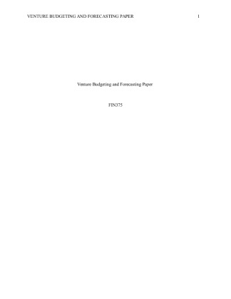 FIN 375 Venture Budgeting and Forecasting Paper