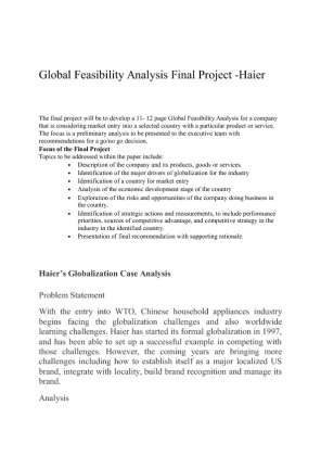 Global Feasibility Analysis Final Project  Haier