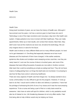 HCS 212 Health Care essay