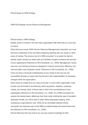 HRM 530 Ethical Issues In HRM Strategy