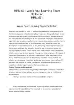 HRM 531 Week Four Learning Team Reflection