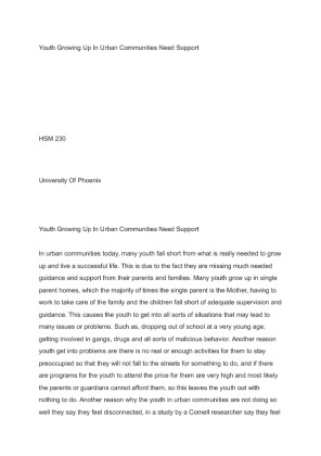 HSM 230 Final Paper Youth Growing Up In Urban Communities Need Support