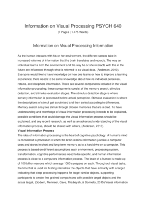 Information on Visual Processing PSYCH 640