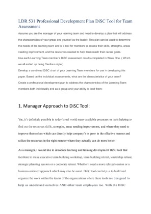 LDR 531 Professional Development Plan DiSC Tool for Team Assessment