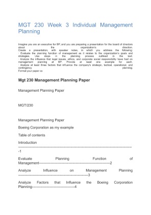 Mgt 230 Management Planning Paper