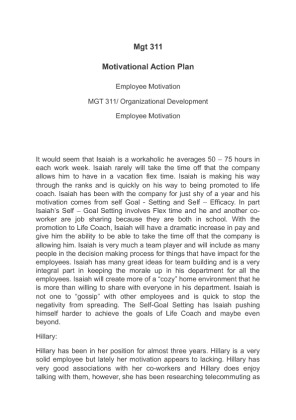 Mgt 311 Motivational Action Plan (2)