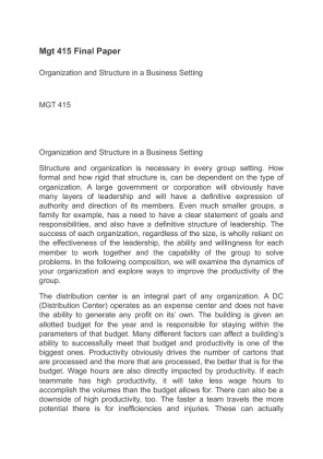 Mgt 415 Final Paper Organization and Structure in a Business Setting