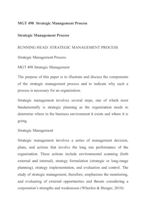 MGT 498  Strategic Management Process Paper