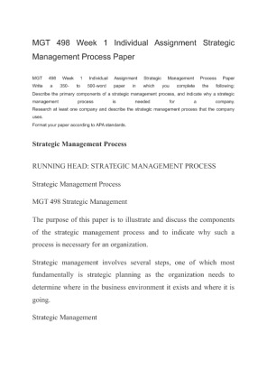 MGT 498 Week 1 Individual Assignment Strategic Management Process Paper