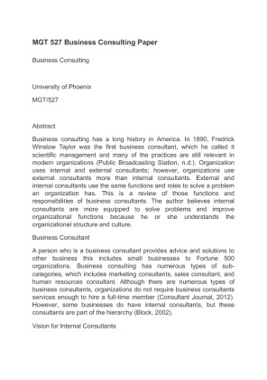 MGT 527 Business Consulting Paper