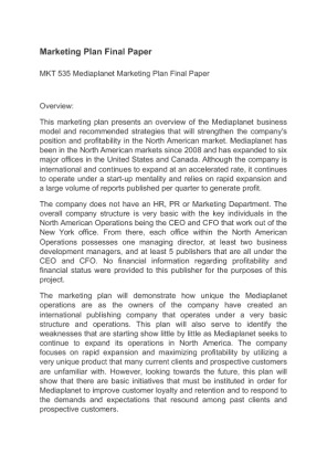 MKT 535 Mediaplanet Marketing Plan Final Paper