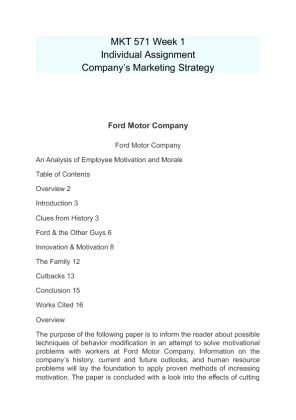 MKT 571 Week 1 Individual Assignment Companys Marketing Strategy  Ford...