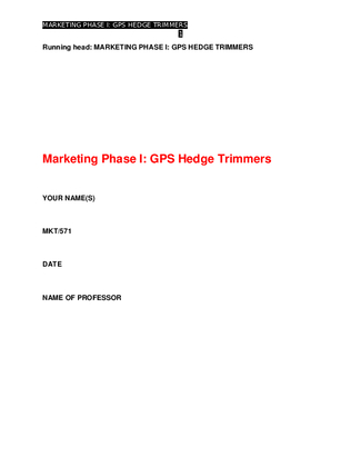 MKT 571 Week 2 Team Marketing Plan Phase I 1927548605