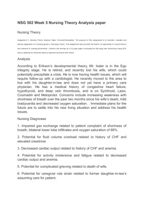 NSG 502 Week 5 Nursing Theory Analysis paper