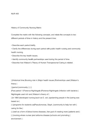 NUR 405 History of Community Nursing Matrix