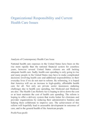 Organizational Responsibility and Current Health Care Issue