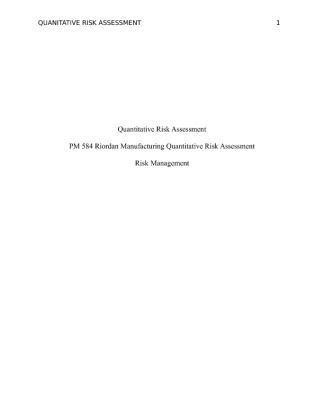 PM 584 Riordan Manufacturing Quantitative Risk Assessment