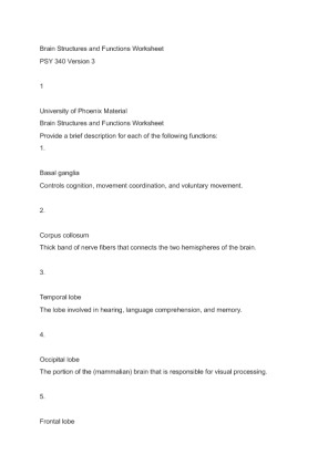 PSY 340 Version 3 Brain Structures and Functions Worksheet