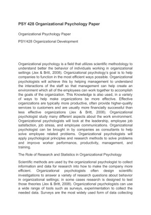 PSY 428 Organizational Psychology Paper