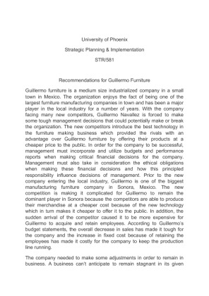 STR 581 Strategic Planning & Implementation