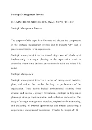 Strategic Planning Process Paper