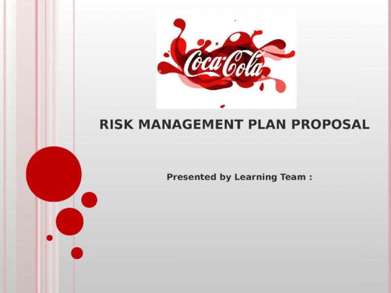 FIN 415 Week 5 Learning Team Assignment Risk Management Plan