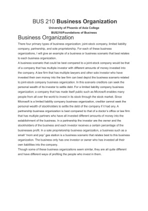 BUS 210 Business Organizatio1