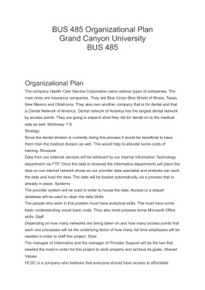 BUS 485 Organizational Plan