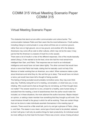 COMM 315 Virtual Meeting Scenario Paper