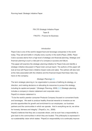FIN 370 Strategic Initiative Paper