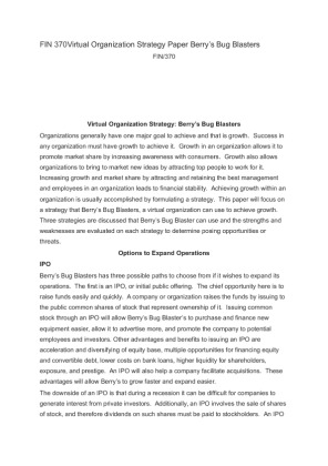 FIN 370Virtual Organization Strategy Paper Berrys Bug Blasters