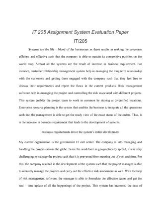 IT 205 Assignment System Evaluation Paper