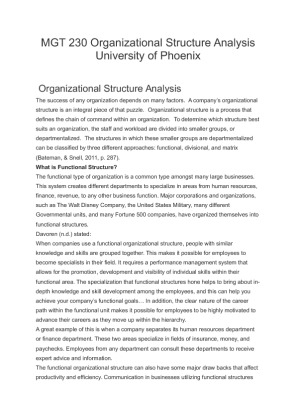 MGT 230 Organizational Structure Analysis