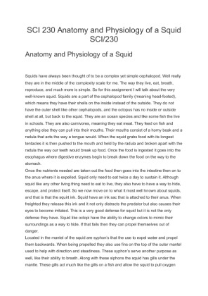 SCI 230 Anatomy and Physiology of a Squid