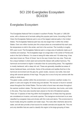 SCI 230 Everglades Ecosystem