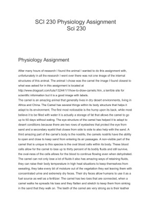 SCI 230 Physiology Assignment