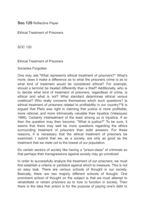 Soc 120 Reflective Paper Ethical Treatment of Prisoners