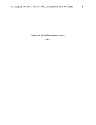 STR 581 External and Internal Environmental Analysis
