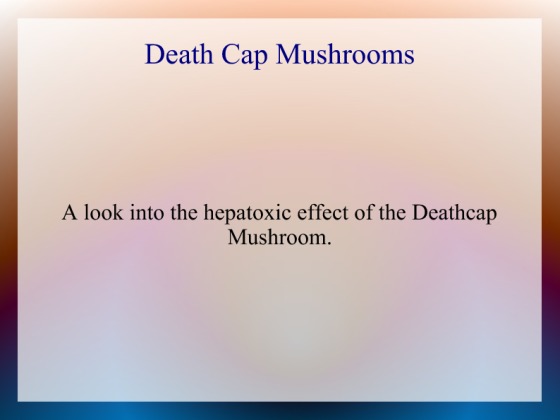 WGU Deathcap  A look into the hepatoxic effect of the Deathcap