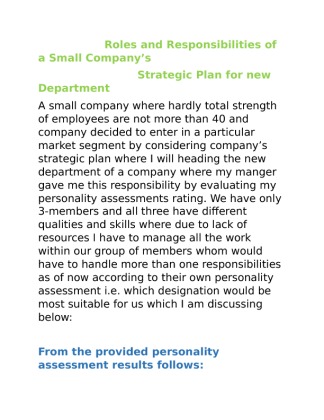 Roles and Responsibilities of a Small Companys Strategic Plan for new...