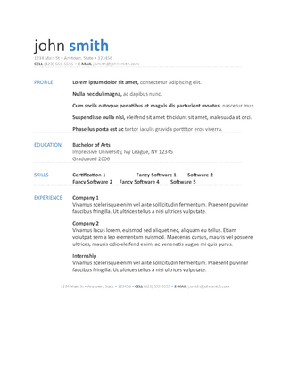 Professional Resume Template 1