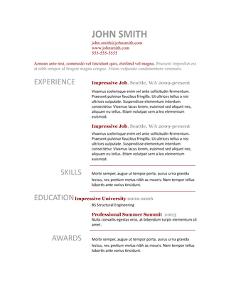 Professional Resume Template 2