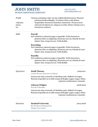 Professional Resume Template 4
