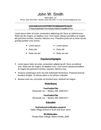 Professional Resume Template 6